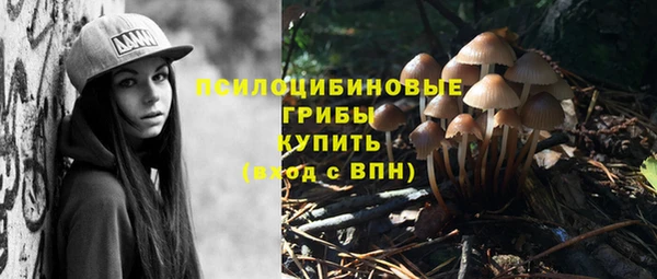 МДПВ Балахна
