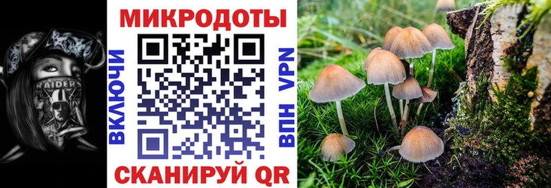 kraken как зайти Заозёрный Галлюциногенные грибы мицелий